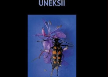 Asta Piiroinen: Ubumuntu uneksii