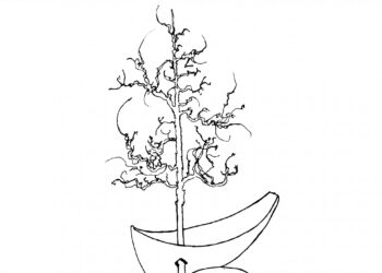 Lassi Rajamaa: Vene ei nyt millään irtoa rannasta