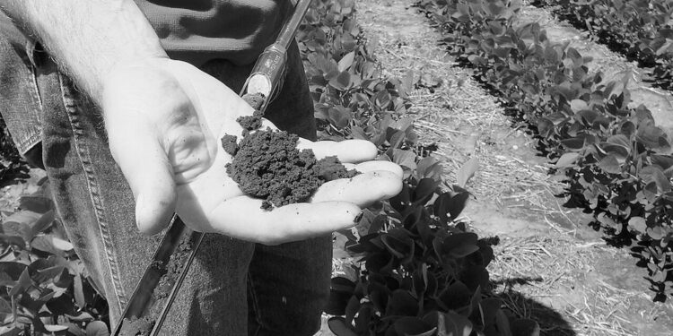 Katso Studio e 9.3.: Kohti ekososiaalista sivistystä